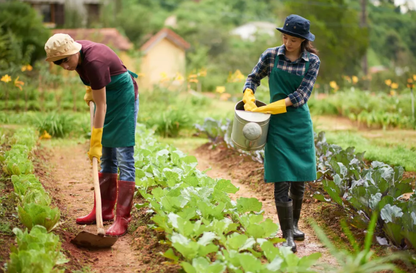 Effective Practices for Sustainable Crop Cultivation