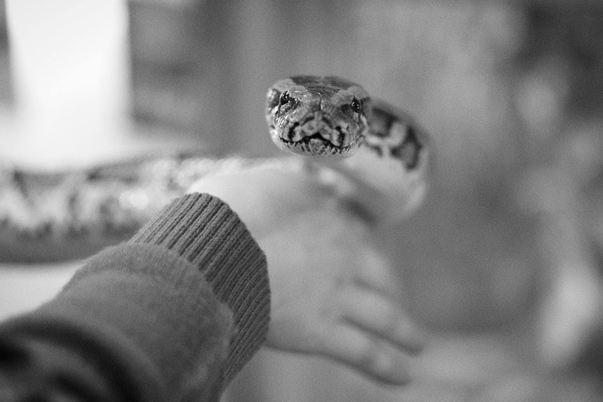 curious handle named ashggruel