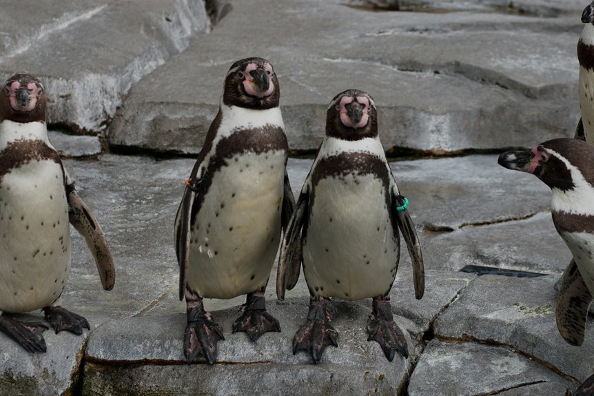 unique and memorable identity